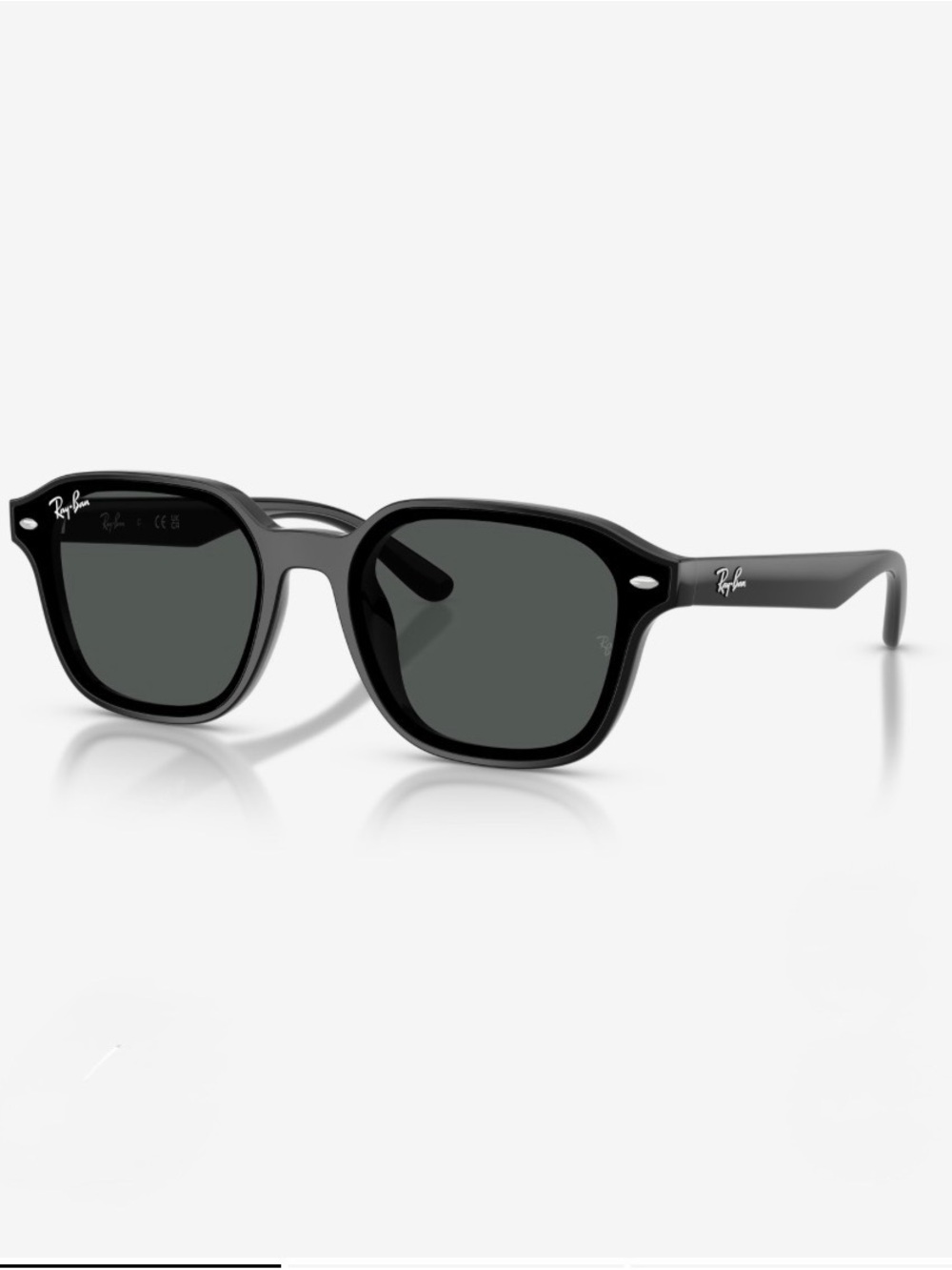 Ray-Ban Black Frame Sunglasses RB4458